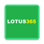 Inside LOTUS 365: A Detailed Review of the Talked-About Gaming Website